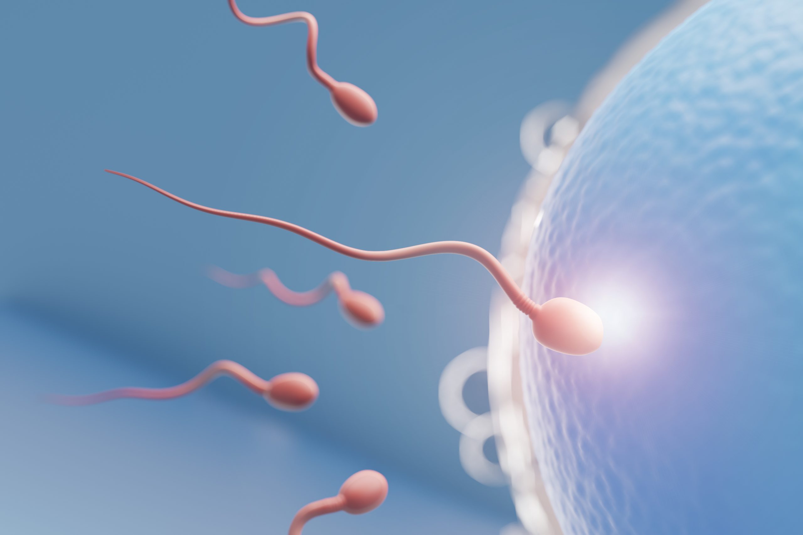 сперма во влагалище у детей фото 15
